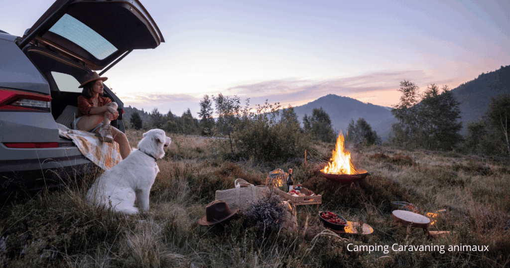 caravaning avec chien ou chat